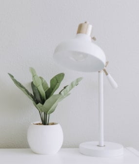 Best Supplier Product From Indonesia King Factory